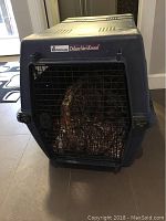 Front view of Petmate Deluxe Vari Kennel with metal door closed, dog bed visible inside