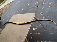 Full view of Bear recurve bow lying on a table, showing length and overall form.