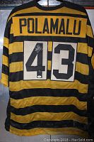 Back of the Pittsburgh Steelers jersey showing number 43 and name Polamalu with visible smoke and dirt damage.