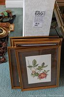 Four framed botanical prints stacked, highlighting the frame details and size reference with a label in background