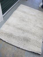 Full view of ivory shag rug showing color, texture, size, and wear marks.