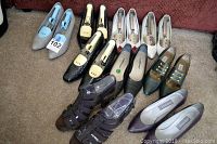 Grouped display of 12 women's leather shoes in size 5.5, arranged on carpeted floor in front of sofa, showing various colors and styles including pumps, loafers, sandals, and slip-ons. Shoe trees are present in some shoes.
