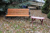 View of two benches placed on ground covered with leaves. Larger bench is made of wooden slats with black metal frame, smaller bench is smaller wooden with red paint.