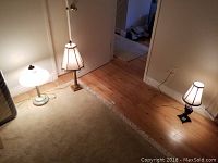 Three table lamps arranged on floor with two on hardwood and one on carpet: white base lamp with frosted glass shade, and two decorative metal base lamps with fabric tapered shades
