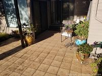 Sunlit patio corner showing multiple planters and stands with plants, giving an overview of the lot.