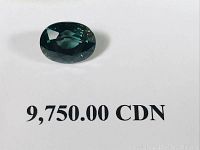 Oval mixed cut blue sapphire on white background with printed retail replacement value CN¥9,750