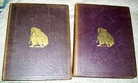 Front covers of two purple cloth bound Punch books, embossed borders with gold illustration, showing some wear on spines.