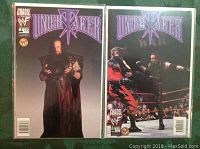 Two Undertaker comic books side by side, one showing The Undertaker in black outfit with arms crossed, the other with The Undertaker kicking an opponent in a wrestling ring. Both have Chaos! Comics and WWF logos.