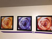 Wall display with all three framed rose photography prints by Steve Kaye in yellow, purple, and peach hues.