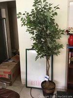Full view of artificial ficus tree standing against wall, showing its full height and pot.