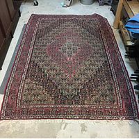 Top-down view of full rug laid flat on floor showing overall design, borders and fringed edges