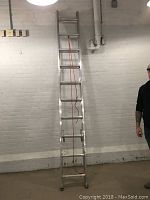 Full view of the Werner aluminum adjustable ladder in standing position against a white brick wall, showing rungs and feet.