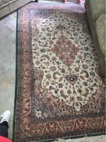 Top view of large ornate area rug with central medallion and floral details in cream, rust, and green hues placed between sofas.