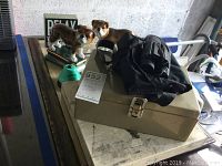 Two ceramic bulldog figurines, rectangular metal cash box with latch and black bag on top, small bell near cash box, all arranged on table.