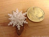 Snowflake pendant placed next to a Canadian dollar coin for size reference, showing pendant texture and glitter detail.