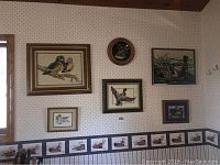 Wall display of multiple framed duck and bird prints including two ducks on a branch, a mallard in flight, small framed prints, and a circular framed print, all hung above duck wallpaper border.