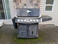 Full front view of Blue Ember barbecue grill showing control knobs, lid, storage cabinets, and side trays.