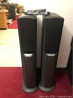 Pair of tall black Sony tower speakers standing side by side on carpeted floor indoors.