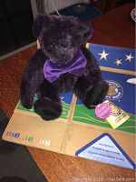 Purple Passion Vermont Teddy Bear sitting on original box with tags and label visible.