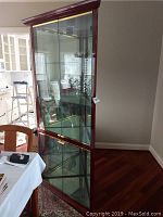 Front view of the tortoise shell color corner curio cabinet showing glass shelves and mirrored back panels.