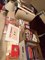 Overview of manga books and anime posters spread on a couch and floor, including Circolia 2002 poster and boxed manga books.