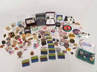 Overview of wide variety of pins in different shapes, sizes, and designs including ski badges, promotional pins, and novelty pins.