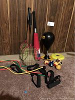 Photo showing all items in the lot including punching bag, bat, rackets, pool balls, frisbee, and resistance bands