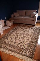 Full view of the beige oriental rug laid out on hardwood floor with nearby sofa and boxes.