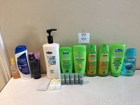 Wide shot showing all bottles and tubes of hair and body care products, including Garnier Fructis shampoo and conditioners, Exact body lotion, Head & Shoulders shampoo, deodorants, and sachets.