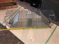 Top down view of metal wire mesh animal trap placed on white table, showing spring-loaded door and metal plate trigger mechanism.