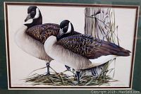 Close-up of the print showing two Canada geese, titled 'Lifetime Partners'.