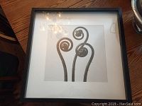 Black and white framed photo print of three curled fern fiddleheads