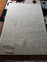 Full view of the off-white shag area rug spread out on a wooden floor, tag visible at corner.