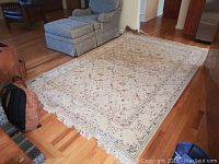 Area rug laid out on hardwood floor showing full length and fringe detail along one end.