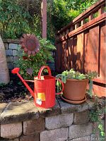 Photo depicts red metal watering can, potted succulent plant, and rusted sunflower yard decoration placed outdoors on concrete blocks next to wooden fence
