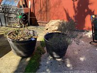 Two black plastic barrel-style potted plants on rolling casters outdoors, one with rosemary and the other with dried foliage and a decorative metal flower stake.