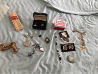 Full view of the costume jewelry lot displaying various pieces including a charm bracelet, pins, pendants, earrings, and a cameo brooch arranged on a fabric surface.