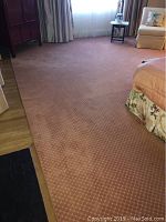 Photo of large coral wool area rug covering the floor with furniture partially on it, showing overall condition and size.