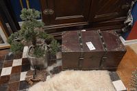Wooden chest with metal bands and latch next to faux plant and clothing hook.