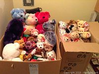 Two large boxes filled with assorted Ty Beanie Babies and other stuffed animals in various colors and sizes.