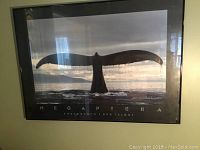 Photo of framed whale photograph print by Bob Talbot showing whale tail above ocean waves at sunset/sunrise with damaged glass.