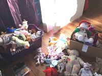 Wide view of large collection of various small to medium Ty stuffed animals arranged in boxes and scattered on the floor.