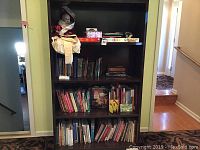 Dark wood bookcase filled with books and board games, realistic baby doll on the top left shelf.
