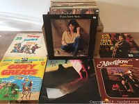 Photo showing a partial selection of LP record albums with visible titles and artwork including Funny Funky Hits, Goofy Greats, If You Knew Suzi..., and Afterglow, along with a large stack of other assorted LPs in the background.