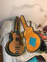 Overview of mandocello and open case