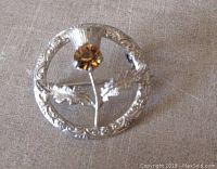 Front view of the sterling silver brooch showing the circular form with embossed edge and the amber glass stone as the thistle head.