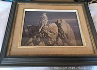 Photo of framed picture showing detailed bird perched on rocks with prominent beige and gray rocky background and greenish frame with gold trim.