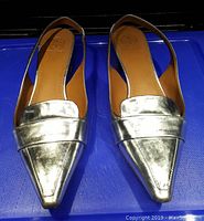 Top view of the pair of Tory Burch Sadie metallic silver leather slingback flats, showing pointed toes and silver metallic finish.