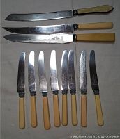 All eleven knives laid out on flat surface showing blades and ivory-coloured handles.