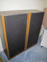 Pair of Technics floor speakers standing side by side showing wood veneer sides and black fabric fronts.